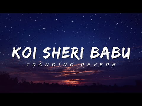 Koi Sheri Babu Dil Lehri Babu | Tranding Song