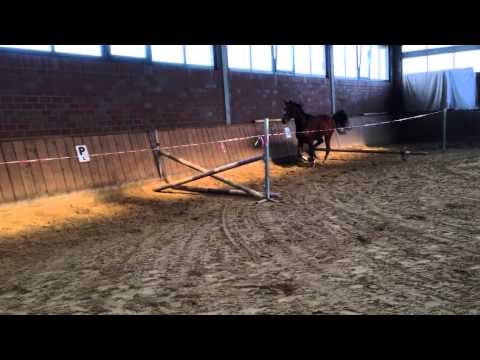 For Contest x Landadel *2011