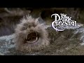 Best of Fizzgig | The Dark Crystal
