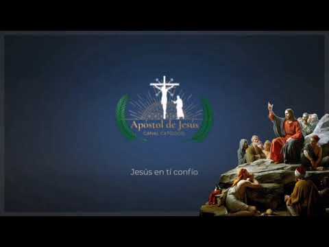 Salmo 25 Salmos Biblia Católica #BibliadeJerusalén