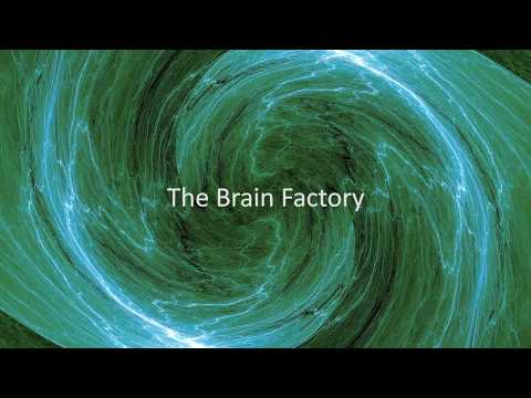 The Brain Factory (updated video)