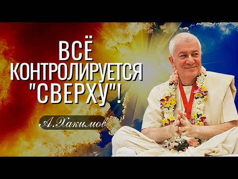 Всё контролируется "сверху"! Александр Хакимов