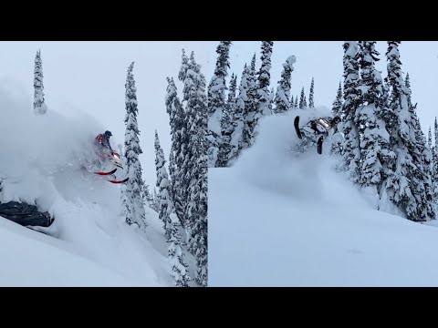 DAY 10- sled every day