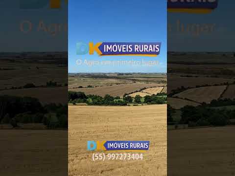 Arrendamento Rural | Oportunidades em Santana do Livramento, Santo Antônio das Missões e São Gabriel