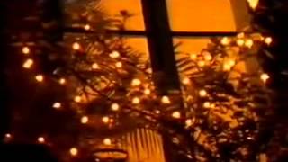 Toshi   Beyond the time PV 360p