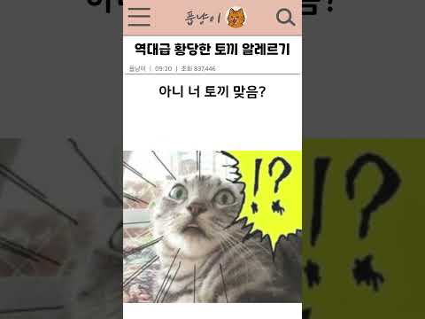역대급 황당한 토끼 알레르기