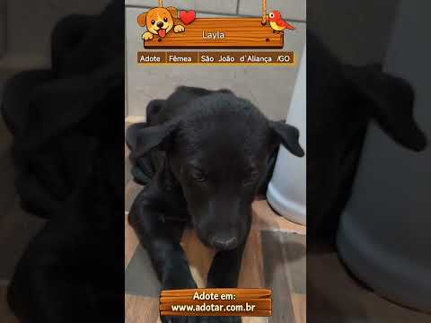 Vídeo de Layla