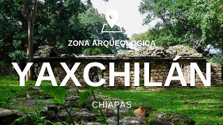 preview picture of video 'Como ir a YAXCHILÁN | CHIAPAS'
