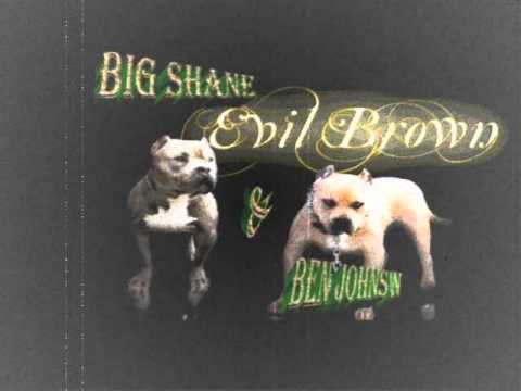 West Side Soldies - Ne stavate