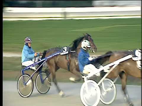 Trotto 23/02/2018 - 5ª corsa