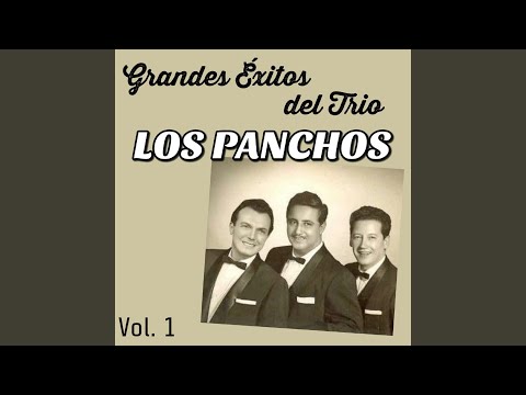 Guadalajara video