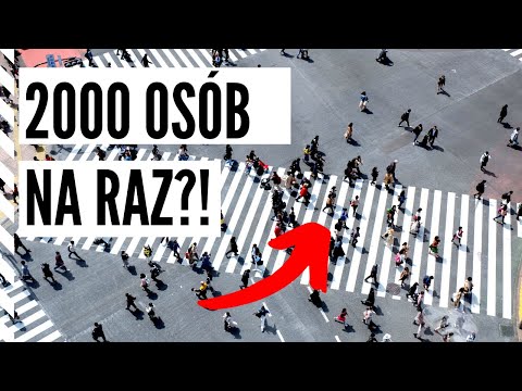 CAŁA PRAWDA o POTĘDZE TOKIO