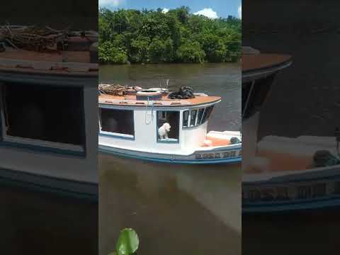 começando a viagem anajás para chaves #marajó #cidadedechaves