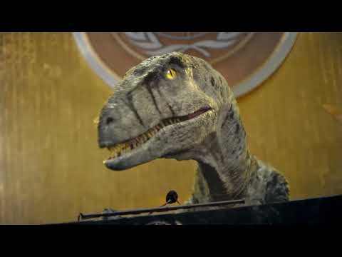 Don't Choose Extinction