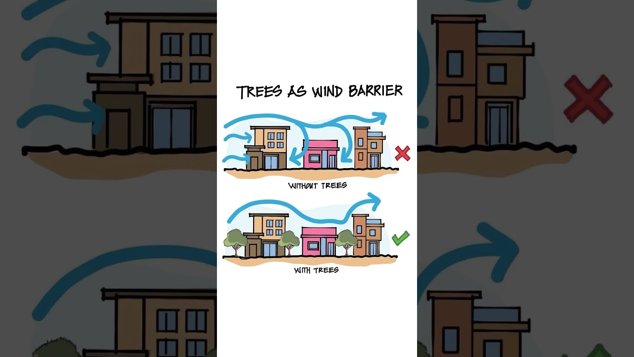 TREES AS WIND BARRIER #shorts #civilengineering065 #viral