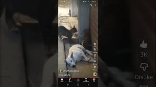 POV this is how siblings fight over everything
