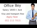 Office Boy Jobs Viral Vedio Dubai Jobs Hiring2022 Uae Dataentry