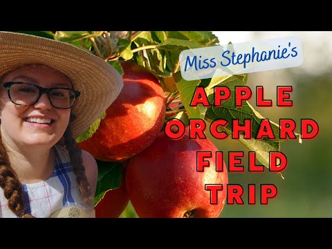 Apple Orchard: Virtual Field Trip for Preschool, Kindergarten, Elementary, & Homeschool Kids