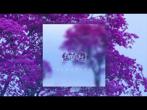 Valdovinos, Belu Clavero - Asterisms (try029)