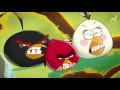 Angry Birds Toons Meet The Flock HD