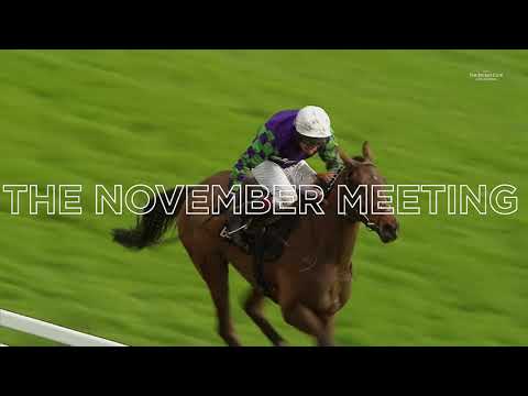 The November Meeting 2020: The Magic Starts Here!