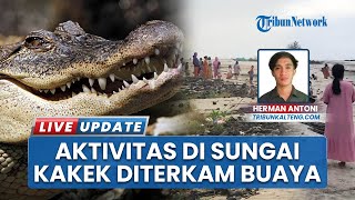 Geger Kakek Hilang Disambar Buaya di Sungai Rangkang Kotim, Warga Bawa Golok Cari Korban
