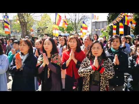 ĐẠI LỄ PHẬT ĐẢN TẠI CHÙA PHỔ ĐÀ BERLIN