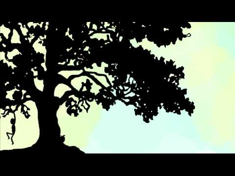 People Share Their Biggest Regrets in Life in a Serene Minimalist Animation