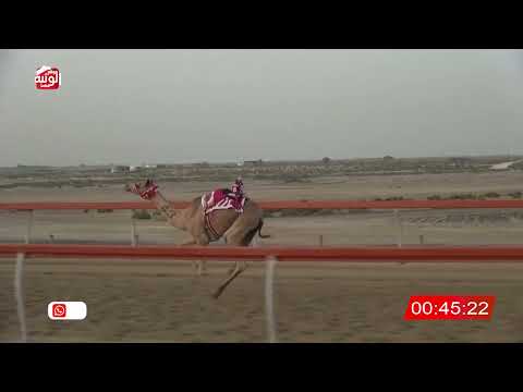  ش 9 (الشاهينيه) لـ عبدالله احمد بالعود الرميثي 2:18 ، شارة الصندوق 2026/07/19 فطامين السمحه