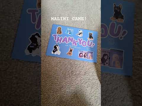 Tysm! @Little.Paws.Plushies { #antizoo #essa #theriantropy #sillygoober #malini #newdog}