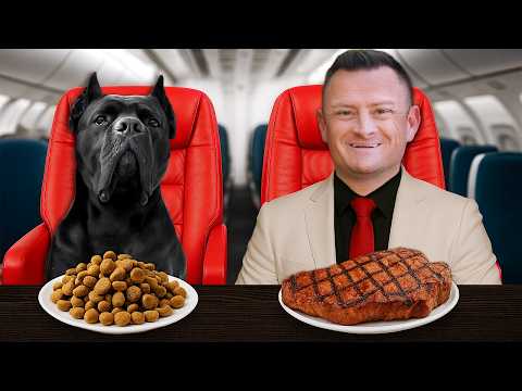 Flying With My Giant Dog...Pilot Tried To Kick Us OFF!