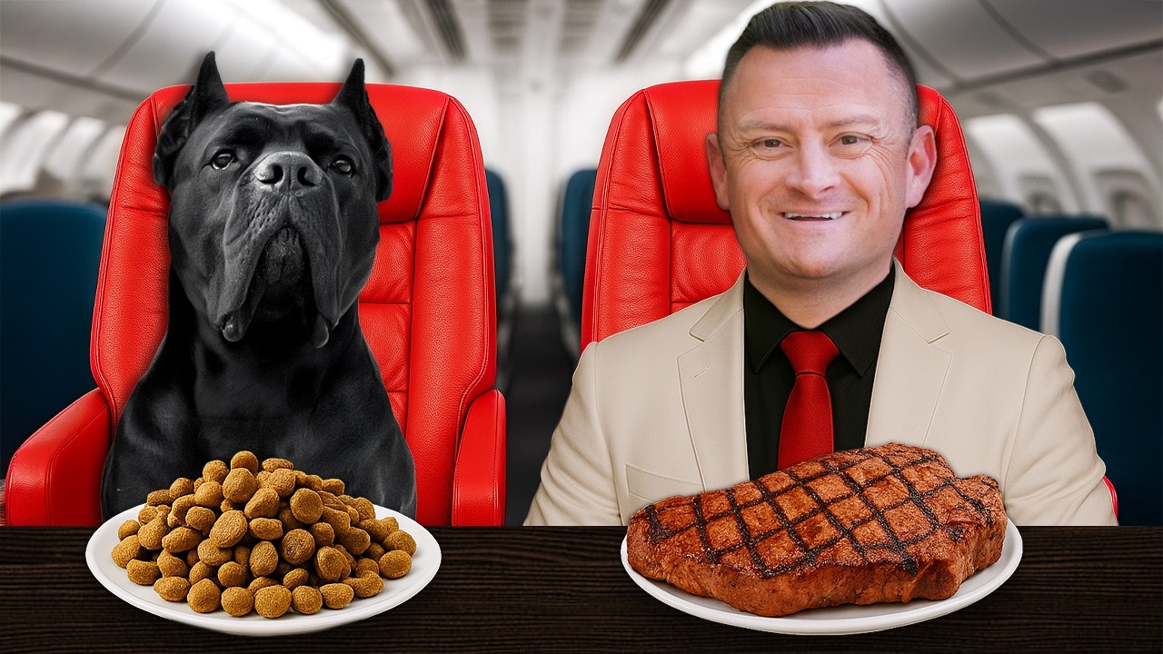 Flying With My Giant Dog...Pilot Tried To Kick Us OFF!