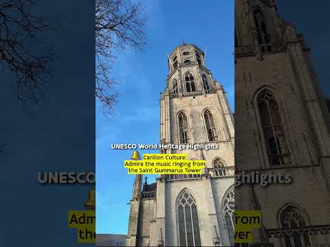 Lier: A Flemish city with Timeless Magic #belgiumtravel #shorts