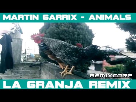 MARTIN GARRIX - ANIMALS (LA GRANJA REMIX) 2016 NEW SONG