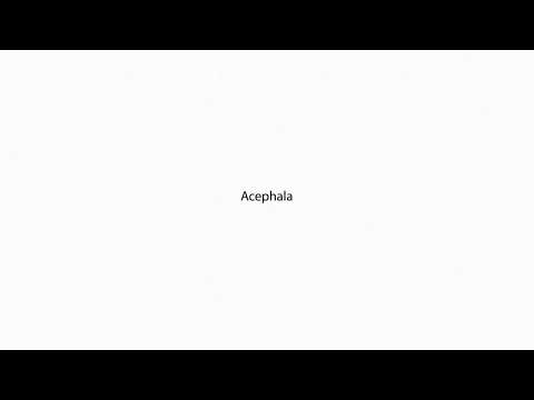 Acephala PRONUNCIATION