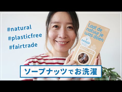 ソープナッツを正しく使う 植物