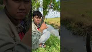 Download lagu Fishing and Catching a 13cm Channa Barca #channa #channabarca #barca #bolang #sibolang mp3