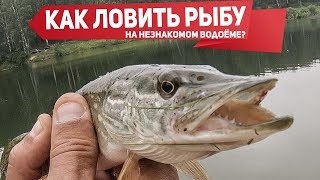 Где лучше ловить щуку осенью в реке или озере