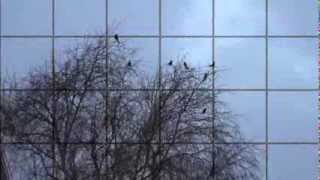 Öppna Din Himmel Ted Gärdestad