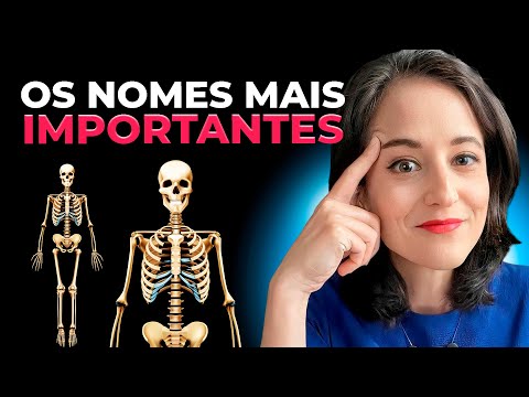 Sistema esquelético: saiba para concurso de Educação Física | Anatomia Humana