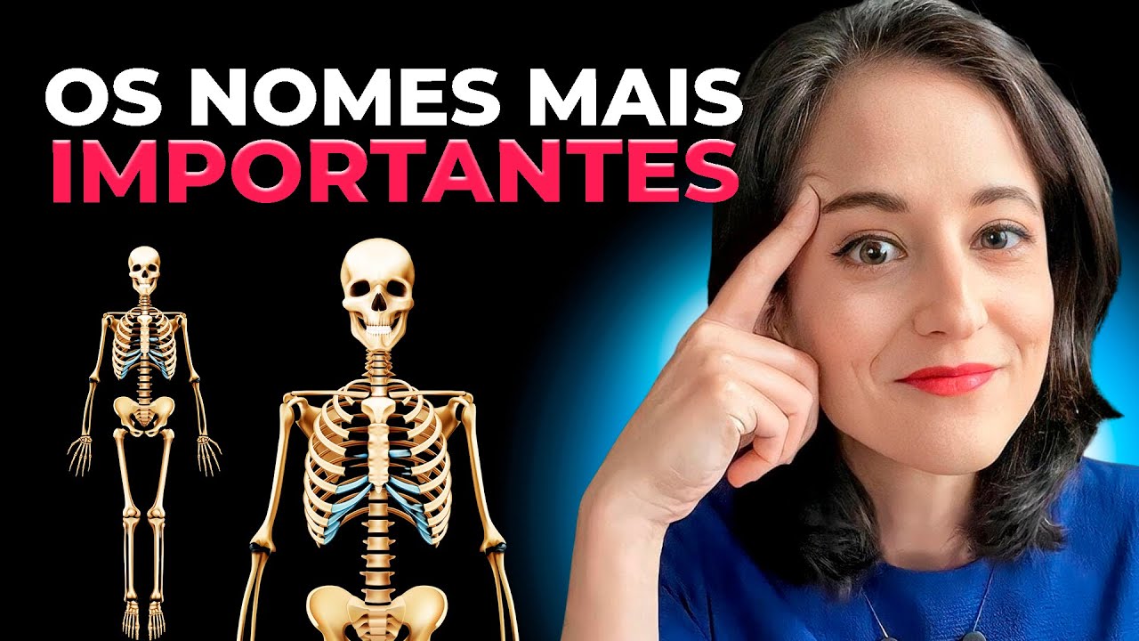 Sistema esquelético: saiba para concurso de Educação Física | Anatomia Humana