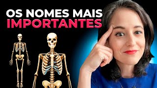 Sistema esquelético: saiba para concurso de Educação Física | Anatomia Humana