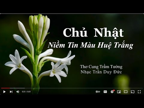 Chủ nhật niềm tin màu huệ trắng Sheet - Phương Uyên