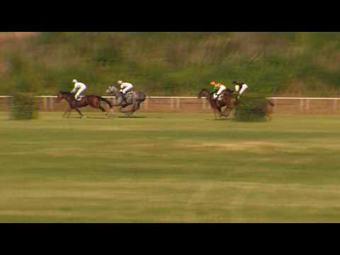 TOP 11.06.2017 - dostihy 6 - Cena predsedu Nitrianskeho sampsprávneho kraja