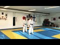 Sensei Tiago Pedroso Tekki Nidan Bunkai