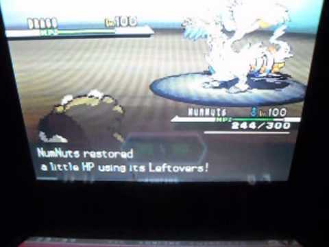 Pokemon Black Wifi Battle #34 vs. xkillerviperv (Bibarel Sweep)