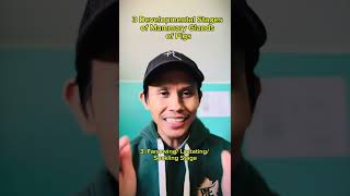 Alamin-Mga dahilan ng hindi functional at hindi pantay-pantay na mga dede.