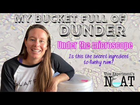 The Secret Ingredient to Funky Rum: Dunder & Muck & Microbes Oh My!