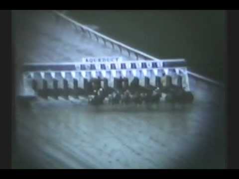 Buckpasser - 1966 Horse Of The Year