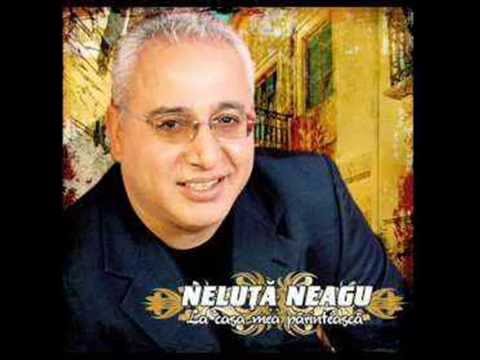 Neluta Neagu - dema dae mol te peau (dami mama vin sa beau) 2015